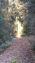 Innere Einkehr & Heilung